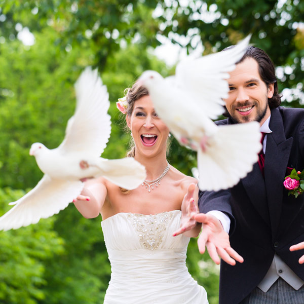 Jouw bruidsduiven hier?